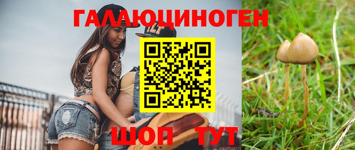 Заволжье  Галлюциногенные грибы мухоморы  Вход с VPN 
