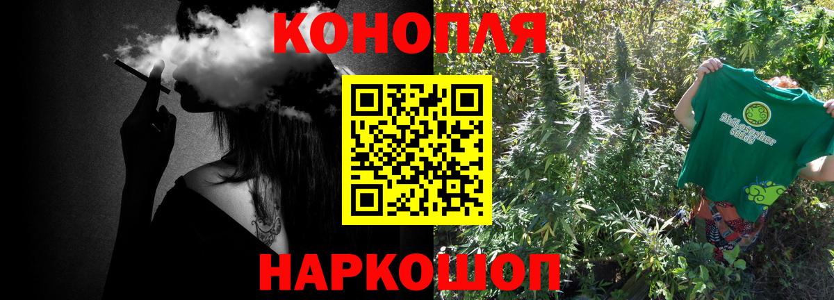 Бошки Шишки планчик Заволжье